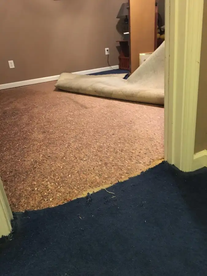 Carpet pad removal revealing water damage during Drying & Dehumidification in Accokeek