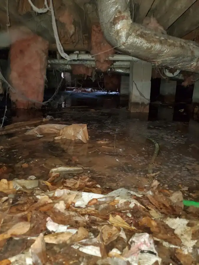 Crawl space flood assessment for Leak Detection & Repair in Accokeek